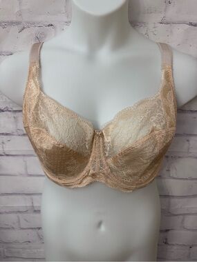 Panache Clara Full Cup Bra USA 38H Chai Beige Lace No Padding Stretch Flaw
